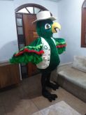 Campanha de Saúde Fantasia Papagaio Maritaca Arara Prefeitura Conscientização