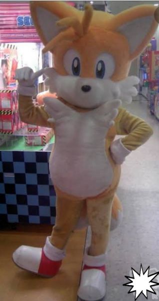 Fantasia Mascote Sonic