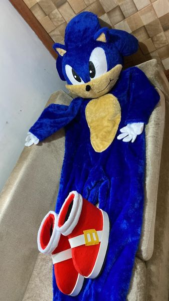 Fantasia sonic barata