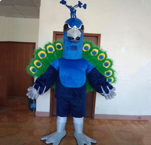 Pavão Pavãozinho Mascote Personagem Vivo Fantasia Realista Adulto Luxo