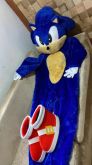 Personagem Vivo Mascote Fantasia Amy Rose- namorada do Sonic